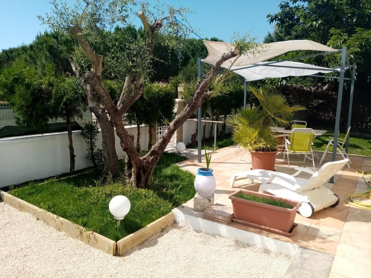 Le Flamant Rose Panzió Salin-de-Giraud Kültér fotó