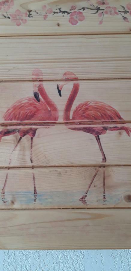 Le Flamant Rose Panzió Salin-de-Giraud Kültér fotó